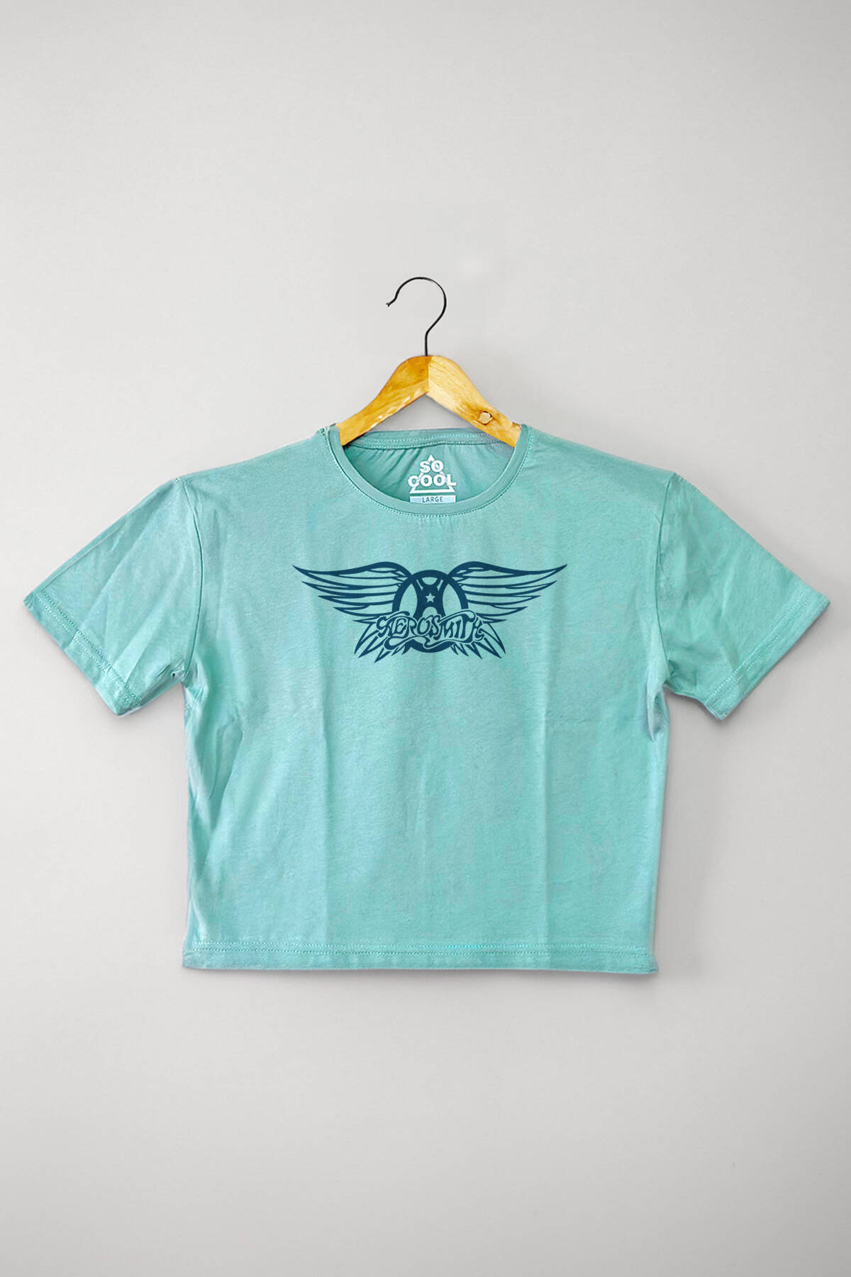 Mint Yeşil Crop T-shirt Aerosmith Black On Black Wings Baskılı Kadın Tişört Baby Tee