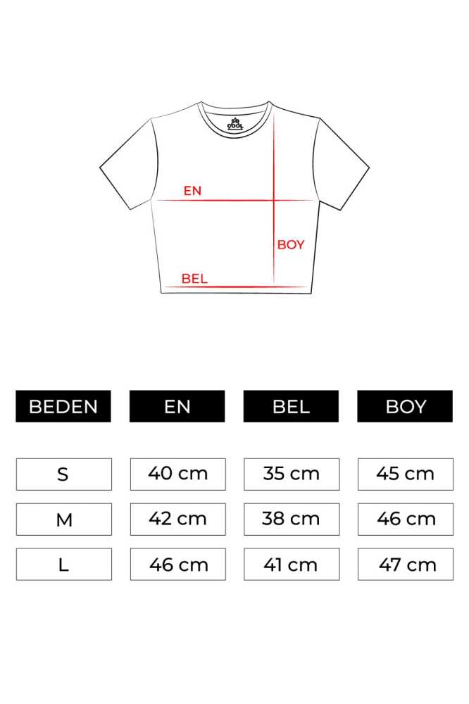 Mint Yeşil Crop T-shirt Aerosmith Black On Black Wings Baskılı Kadın Tişört Baby Tee - 3